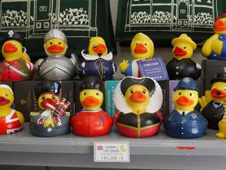 ダックスDucks 京都宇治 | 🚙 ᯓ³₃ 暖かくなってきたら車で