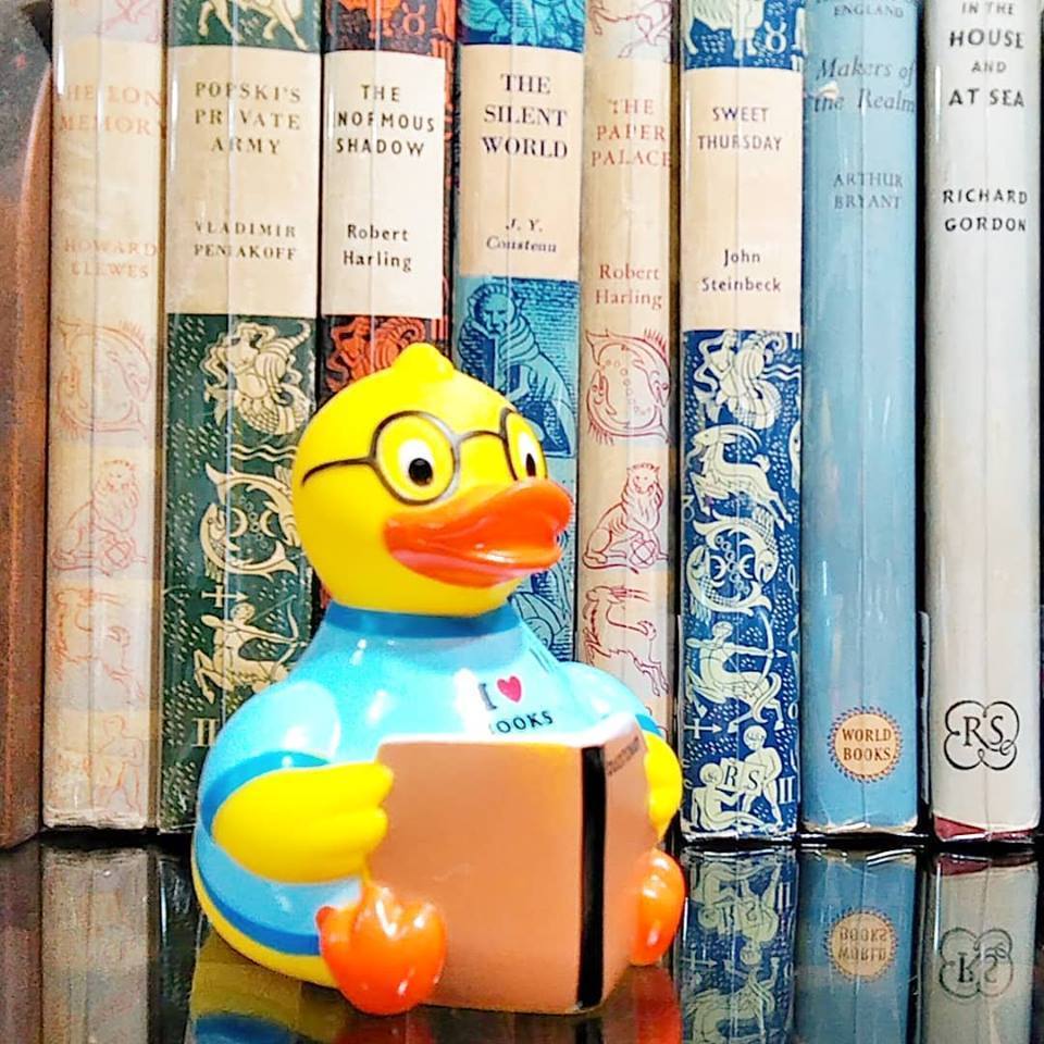 52810398_2511919745547800_7271729470099161088_n.jpg