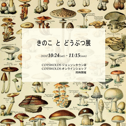 きのことどうぶつ展2020-insta.png