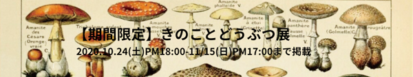 cotskinoko-item.png